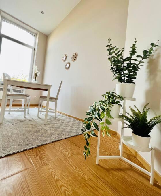 Charmant Petit Appartement. Liege Exterior photo